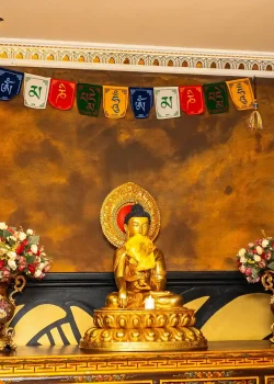 De buddha's ambience