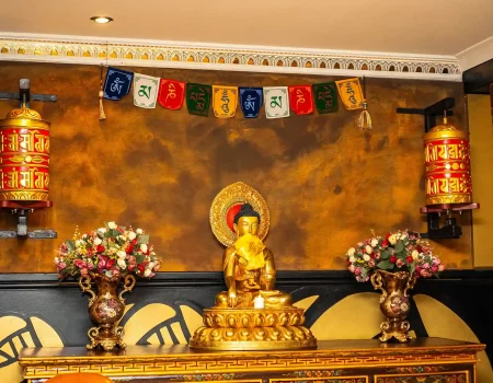 De buddha's ambience