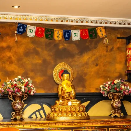 De buddha's ambience